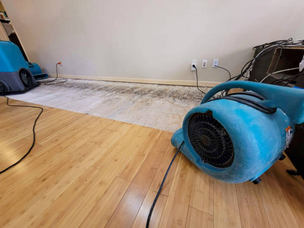 Professional Water Damage Repair technician working in Window Rock, AZ